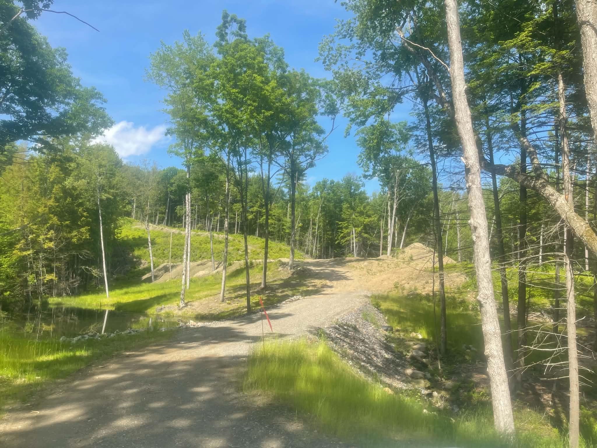 932 Middle Road Dummerston, VT 05301 - Photo 18 of 24