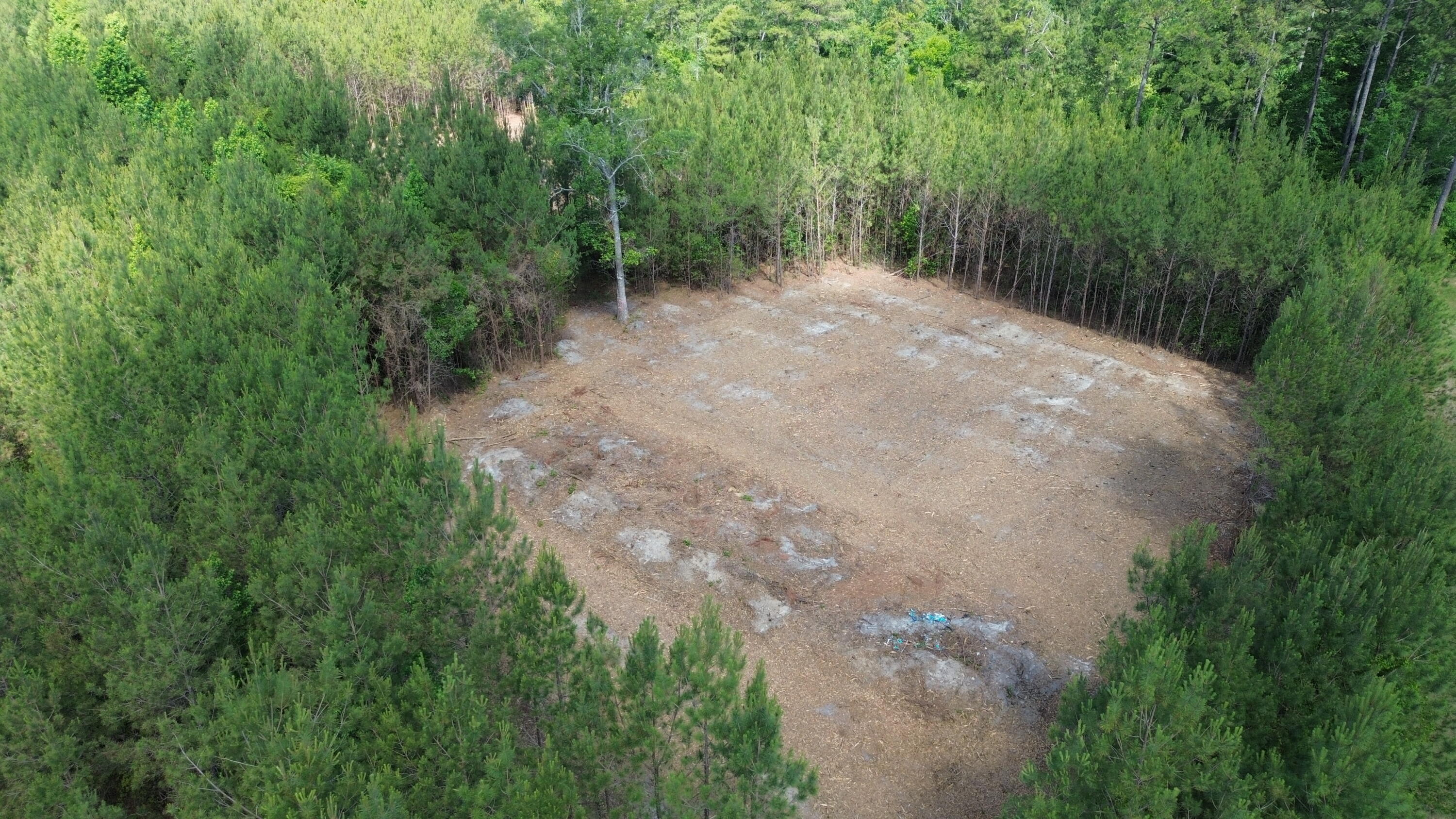 4 Highway 311 Cross, SC 29436 - Photo 10 of 11 DJI_0417