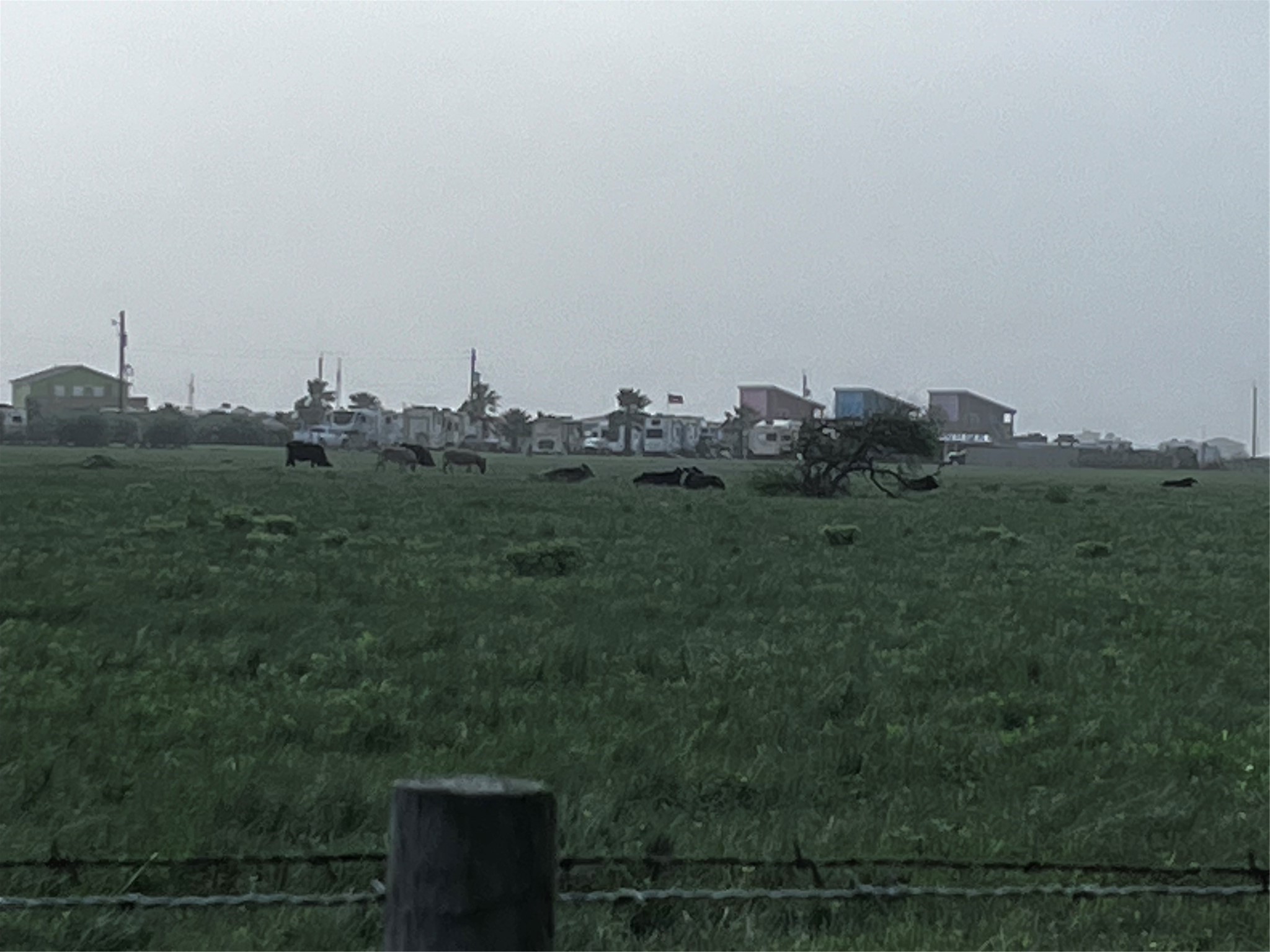 16721 Edward Teach Road Jamaica Beach, TX 77554 - Photo 37 of 49 You can even see the cows in the pasture from front porch. Amazing sunsets!