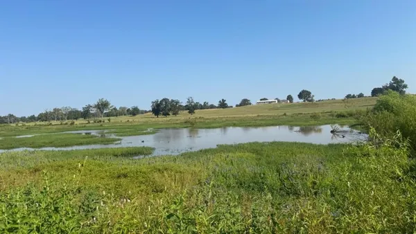 a view of a lake with a houses in the back