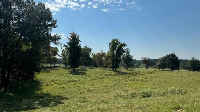 a view of outdoor space with trees all around