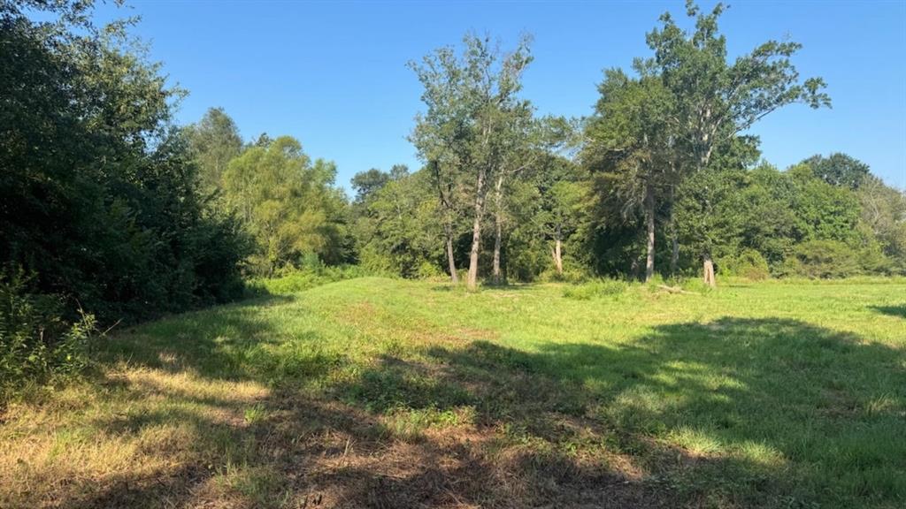 768 County Road 2220 Talco, TX 75487 - Photo 19 of 40 a view of outdoor space with trees all around