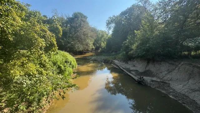 a view of a lake with a yard and large trees