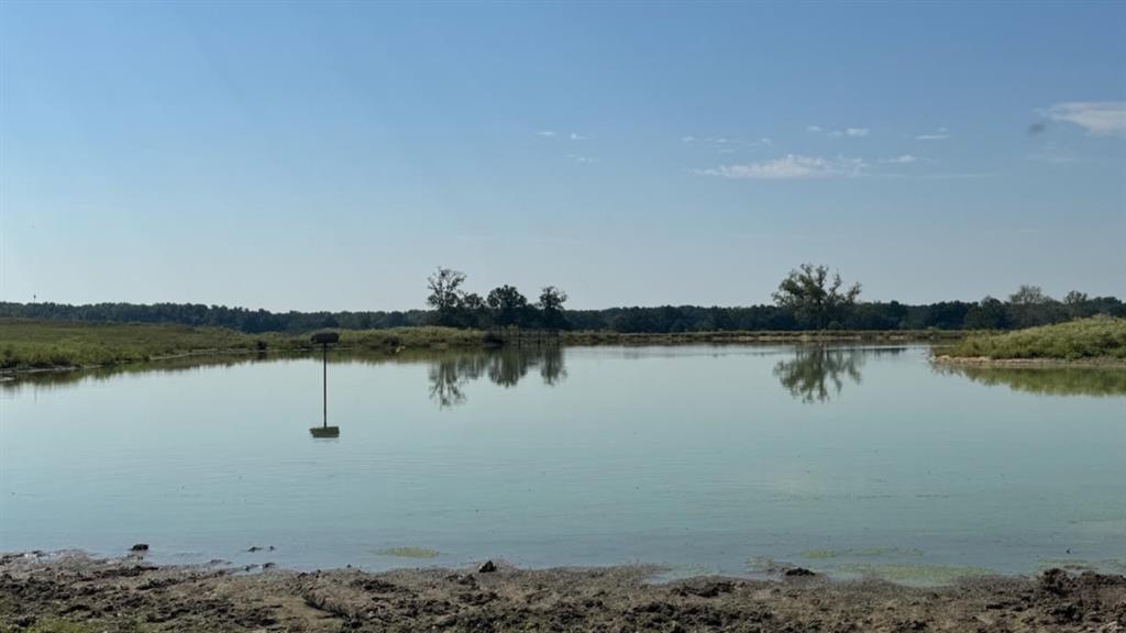 768 County Road 2220 Talco, TX 75487 - Photo 2 of 40 a view of lake