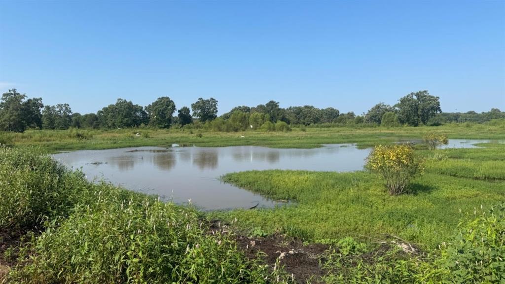 768 County Road 2220 Talco, TX 75487 - Photo 21 of 40 a view of a lake with a yard and large trees
