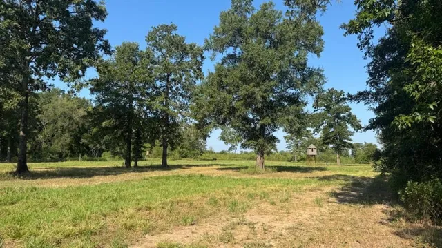 a view of a garden with a lake