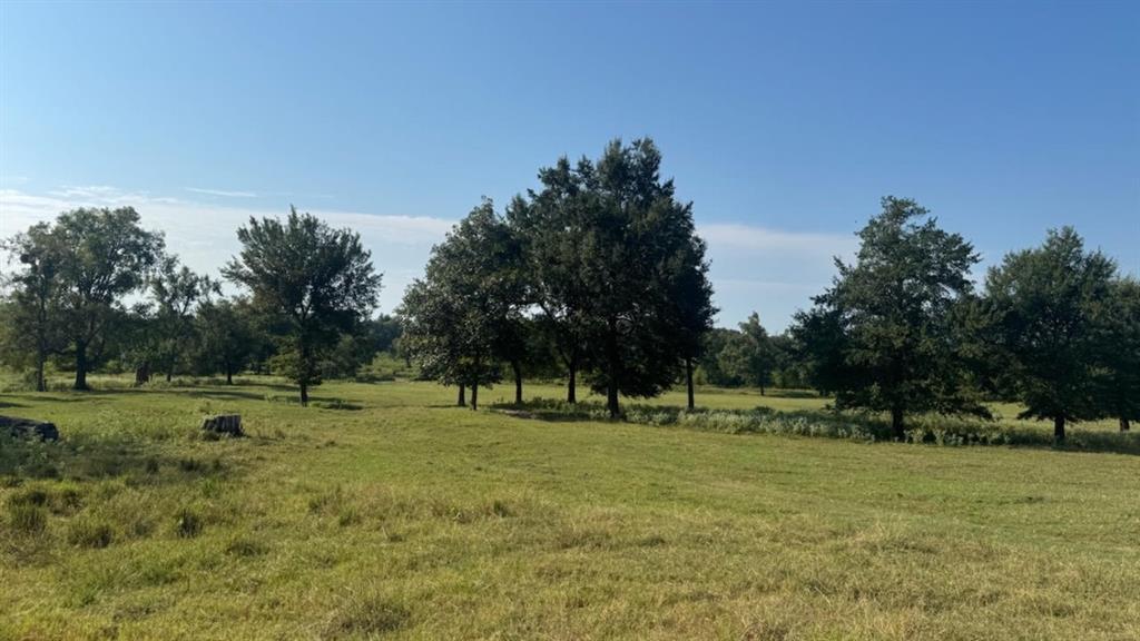 768 County Road 2220 Talco, TX 75487 - Photo 26 of 40 a view of large trees with a big yard
