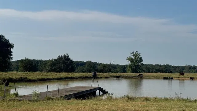 a view of a back yard