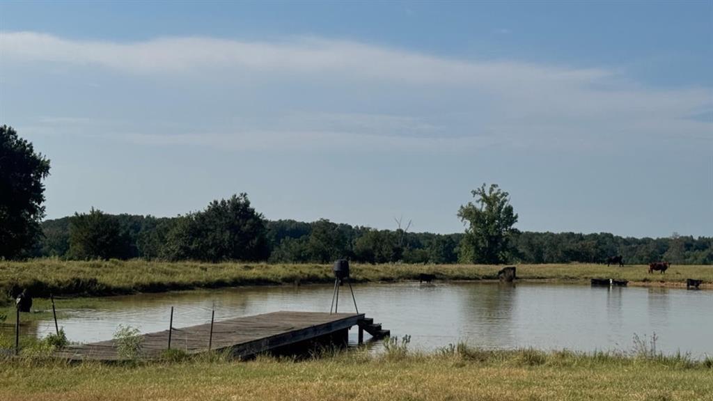 768 County Road 2220 Talco, TX 75487 - Photo 32 of 40 a view of lake with green space