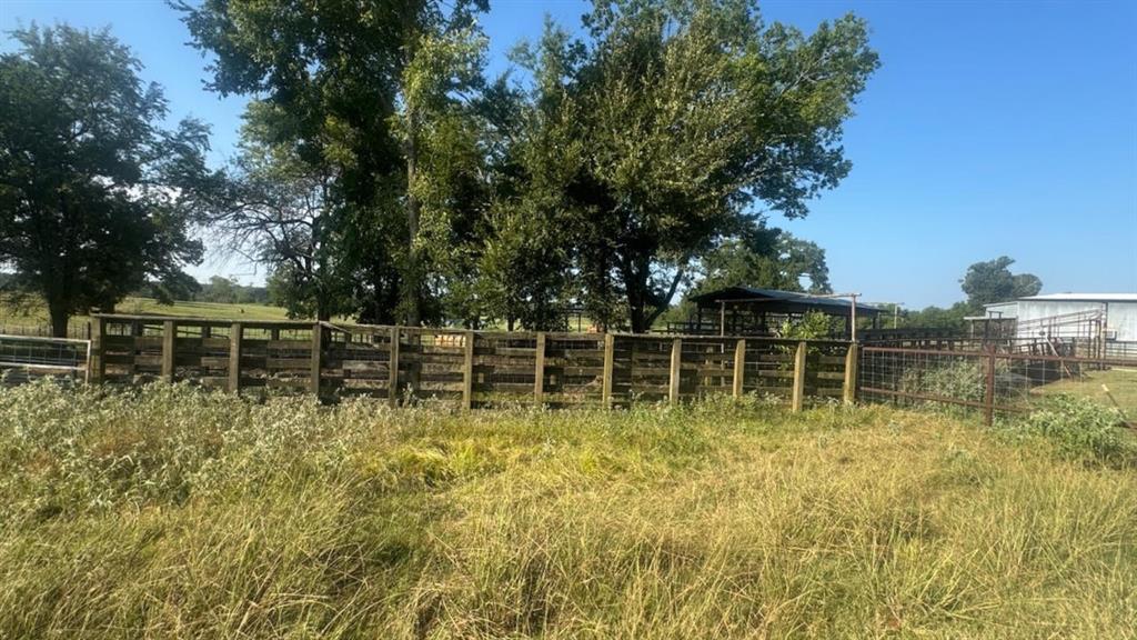 768 County Road 2220 Talco, TX 75487 - Photo 33 of 40 a backyard of a house with lots of green space