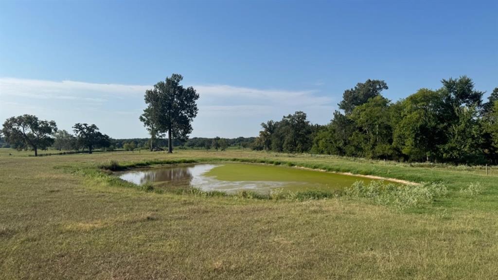 768 County Road 2220 Talco, TX 75487 - Photo 35 of 40 a view of a lake with a yard