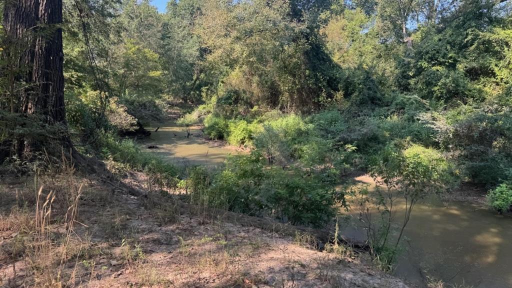 768 County Road 2220 Talco, TX 75487 - Photo 39 of 40 a view of a yard with plants and trees