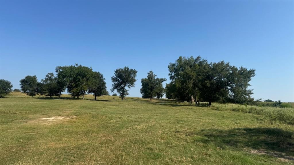 768 County Road 2220 Talco, TX 75487 - Photo 40 of 40 a view of a field with trees in the background