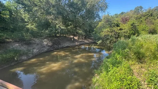 a view of a small yard