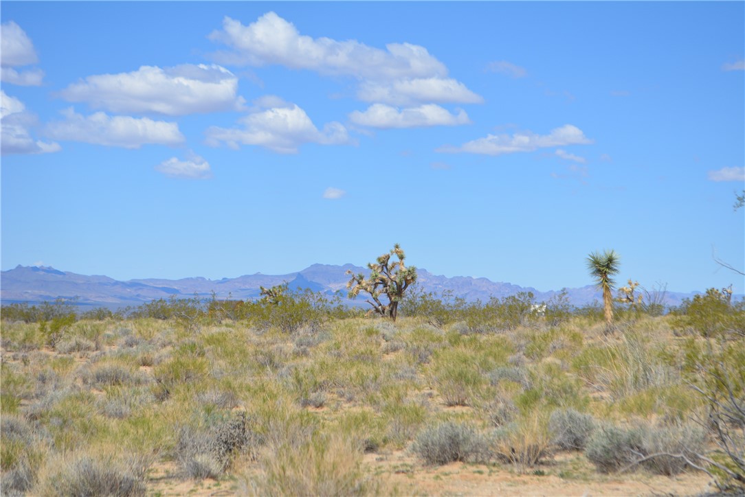 11869 South Dateland Road Yucca, AZ 86438 - Photo 11 of 89 View
