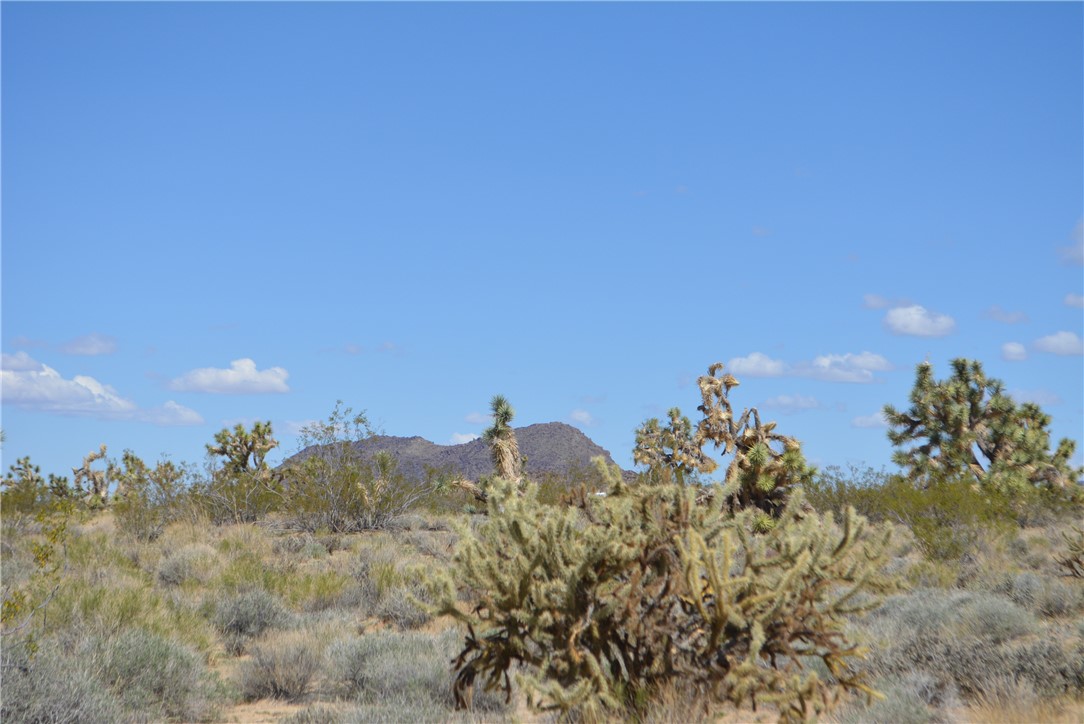 11869 South Dateland Road Yucca, AZ 86438 - Photo 12 of 89 View