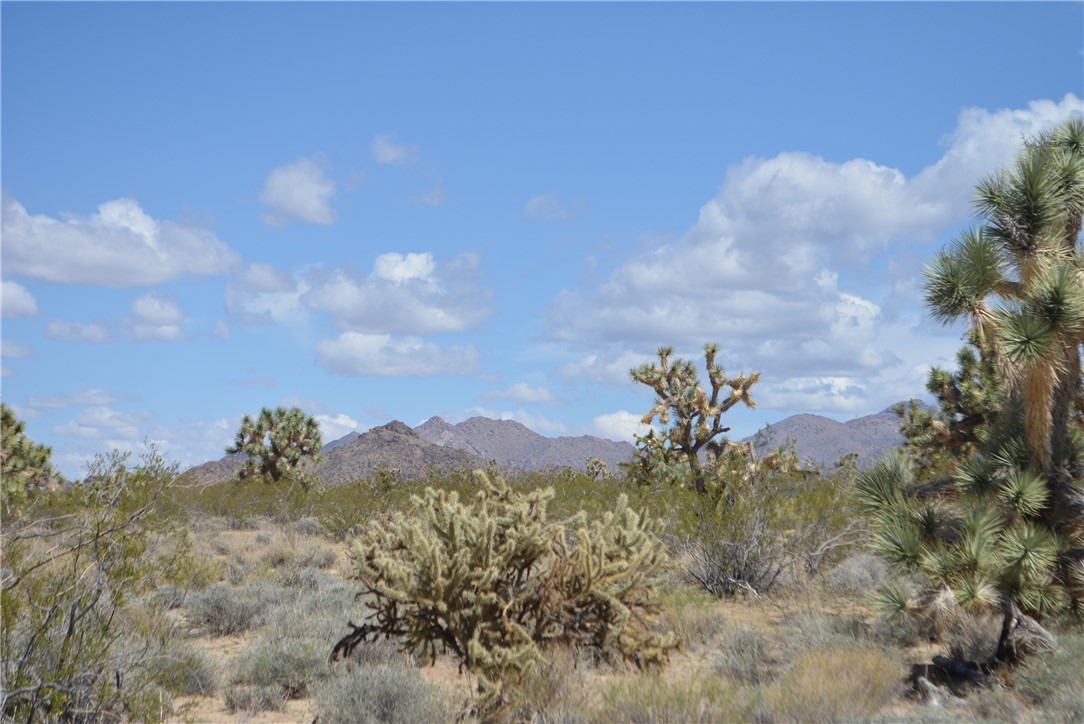 11869 South Dateland Road Yucca, AZ 86438 - Photo 13 of 89 View