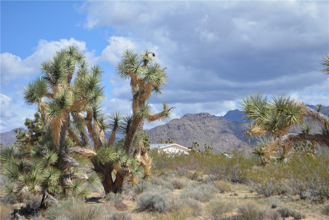 11869 South Dateland Road Yucca, AZ 86438 - Photo 14 of 89 View