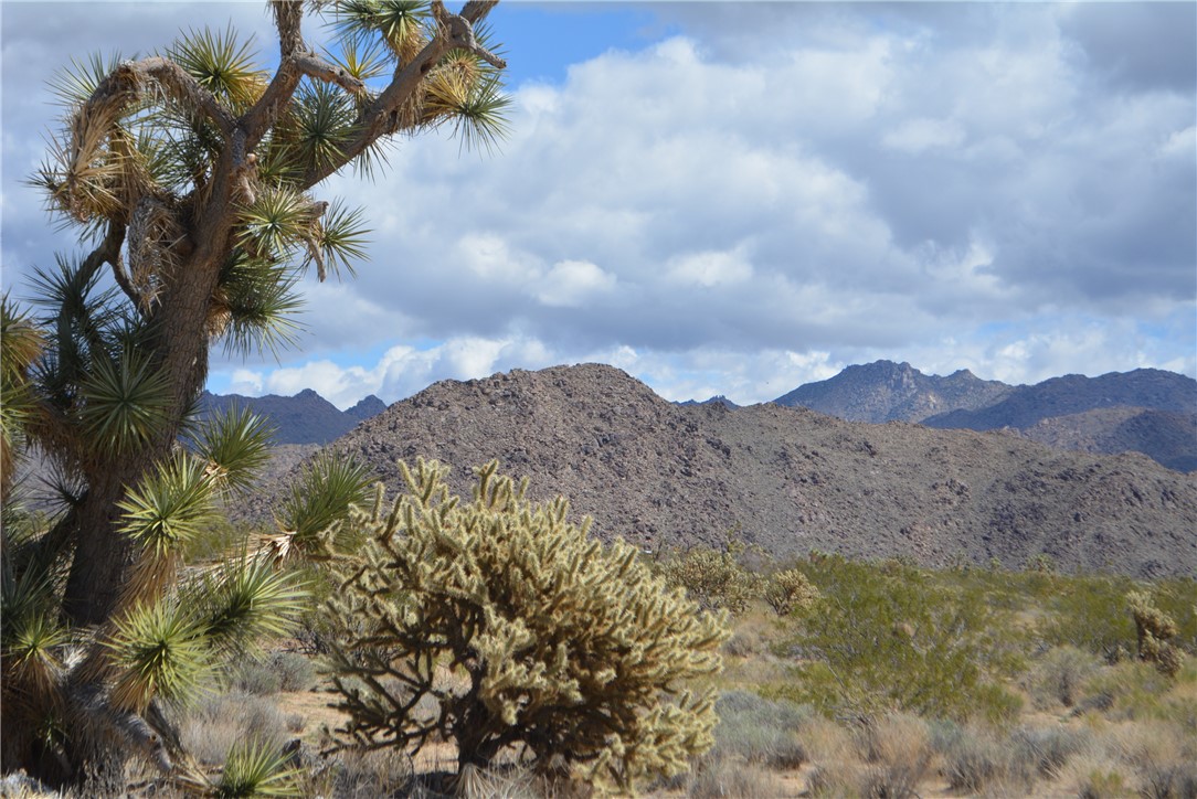 11869 South Dateland Road Yucca, AZ 86438 - Photo 16 of 89 View