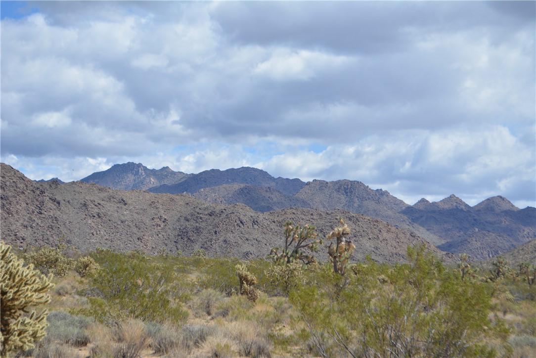 11869 South Dateland Road Yucca, AZ 86438 - Photo 17 of 89 View