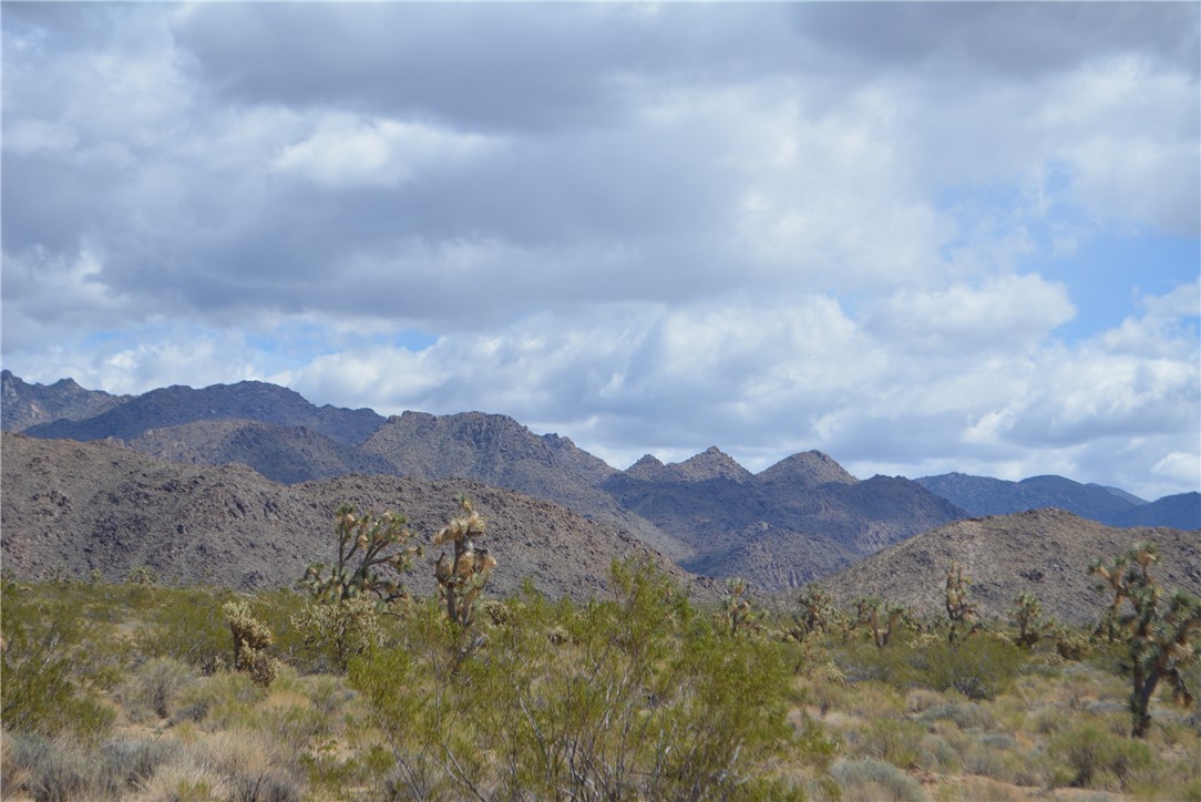 11869 South Dateland Road Yucca, AZ 86438 - Photo 18 of 89 View