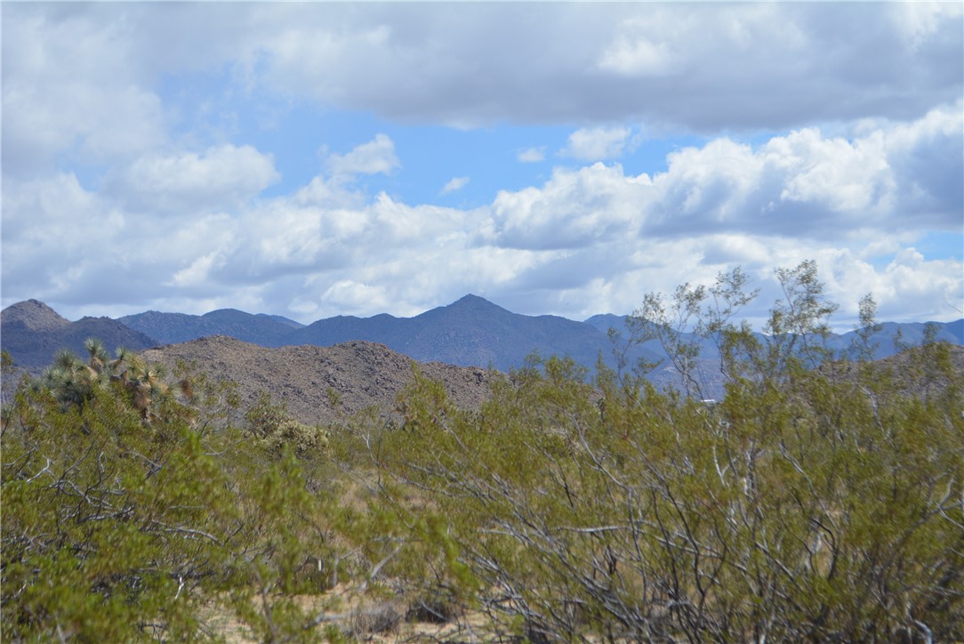 11869 South Dateland Road Yucca, AZ 86438 - Photo 20 of 89 View