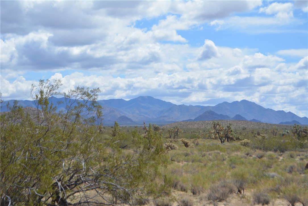 11869 South Dateland Road Yucca, AZ 86438 - Photo 21 of 89 View