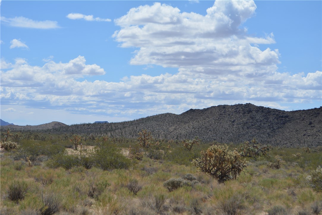 11869 South Dateland Road Yucca, AZ 86438 - Photo 24 of 89 View????????????????????????????????