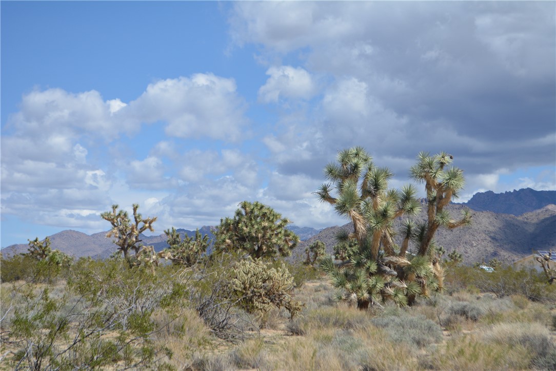 11869 South Dateland Road Yucca, AZ 86438 - Photo 26 of 89 View
