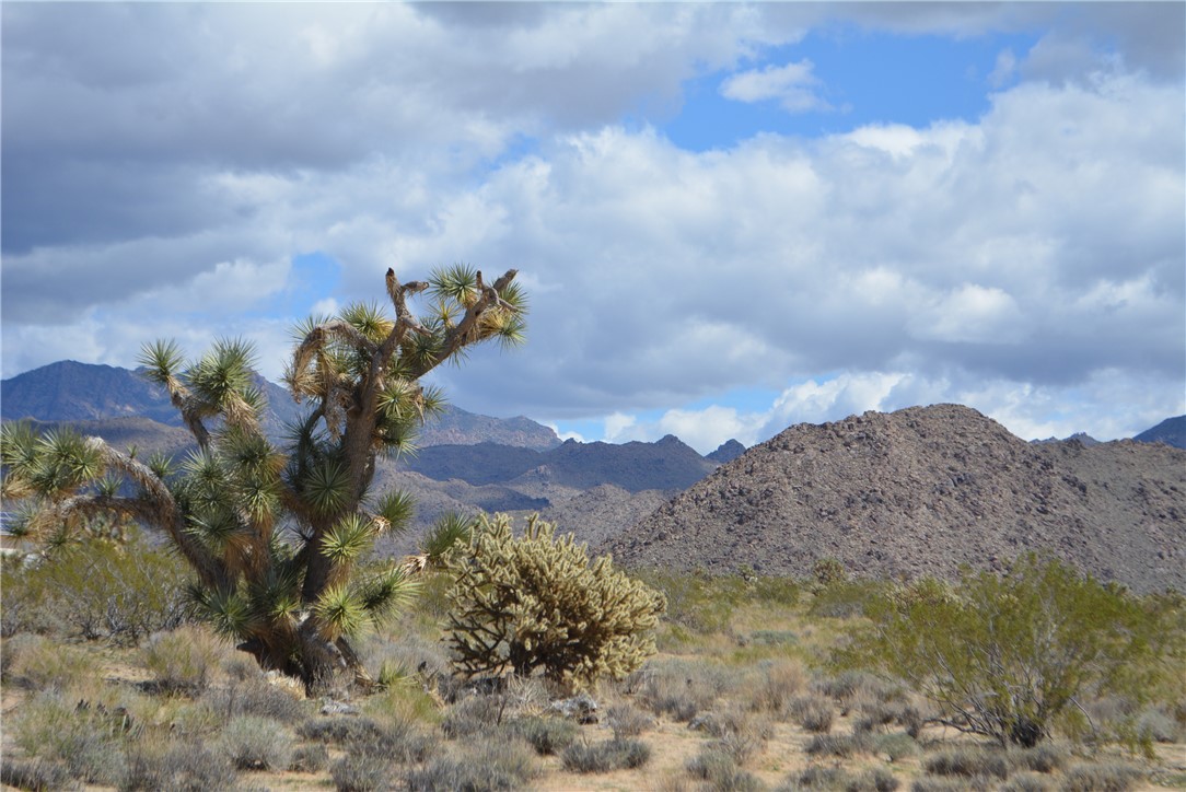 11869 South Dateland Road Yucca, AZ 86438 - Photo 27 of 89 View