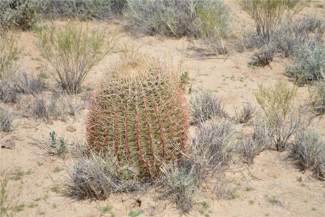 11869 South Dateland Road Yucca, AZ 86438 - Photo 28 of 89 Other