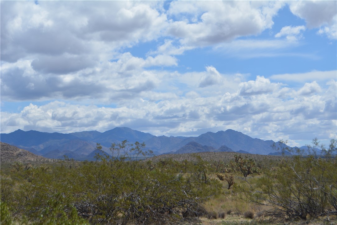 11869 South Dateland Road Yucca, AZ 86438 - Photo 29 of 89 View