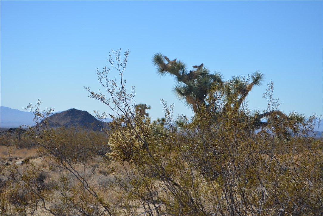 11869 South Dateland Road Yucca, AZ 86438 - Photo 34 of 89 View
