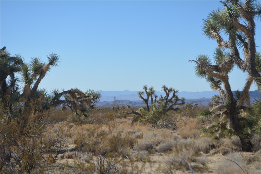 11869 South Dateland Road Yucca, AZ 86438 - Photo 35 of 89 View