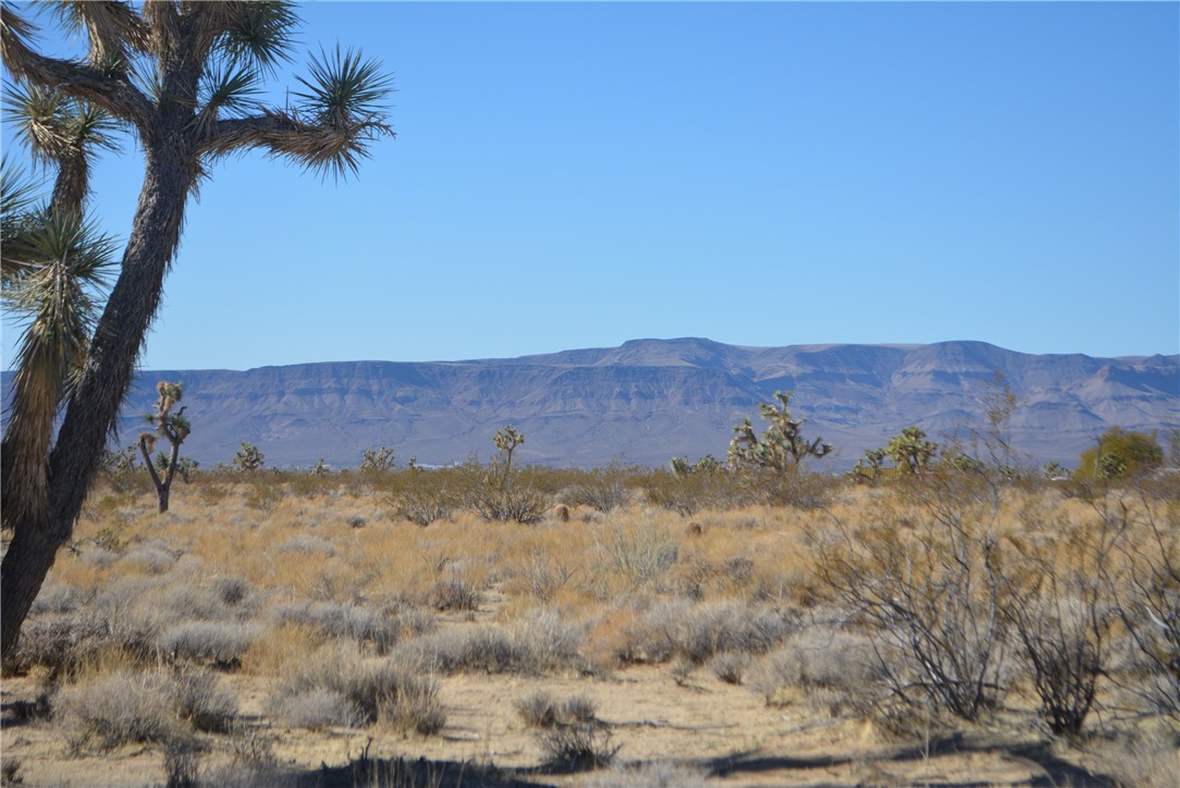 11869 South Dateland Road Yucca, AZ 86438 - Photo 37 of 89 View