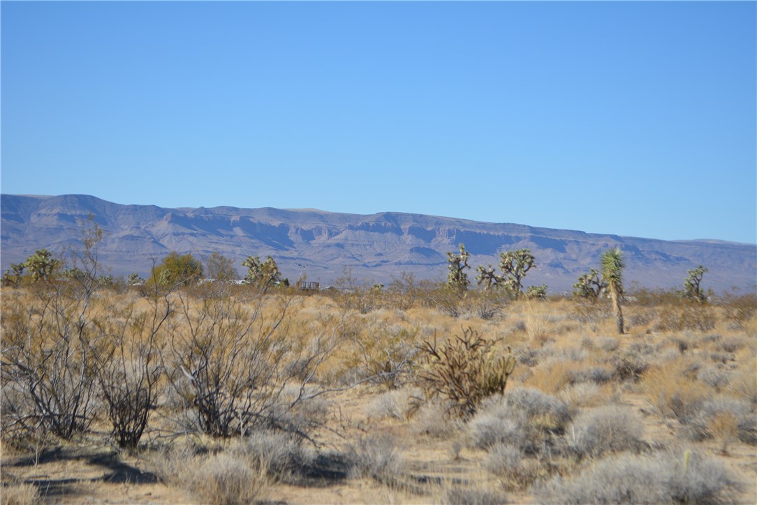 11869 South Dateland Road Yucca, AZ 86438 - Photo 38 of 89 View