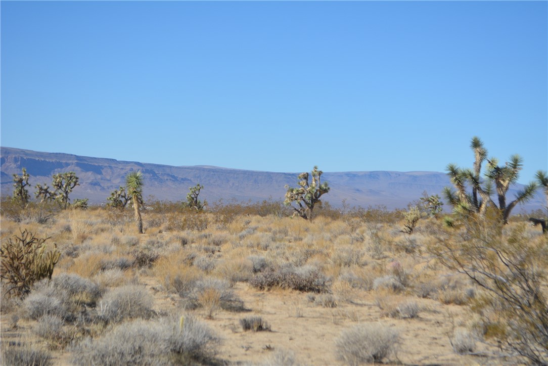 11869 South Dateland Road Yucca, AZ 86438 - Photo 39 of 89 View