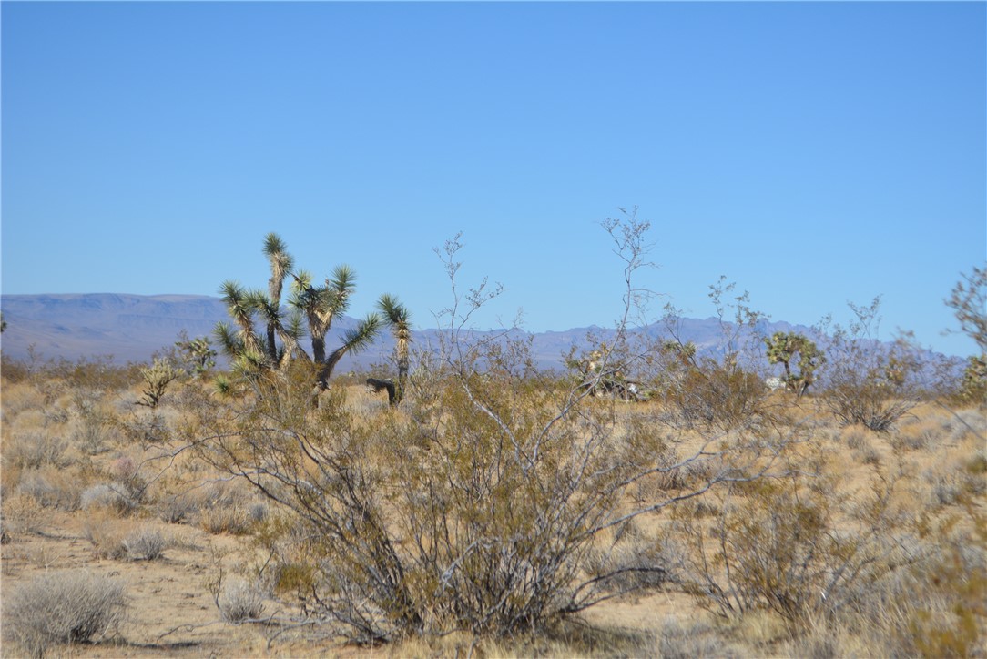 11869 South Dateland Road Yucca, AZ 86438 - Photo 40 of 89 View