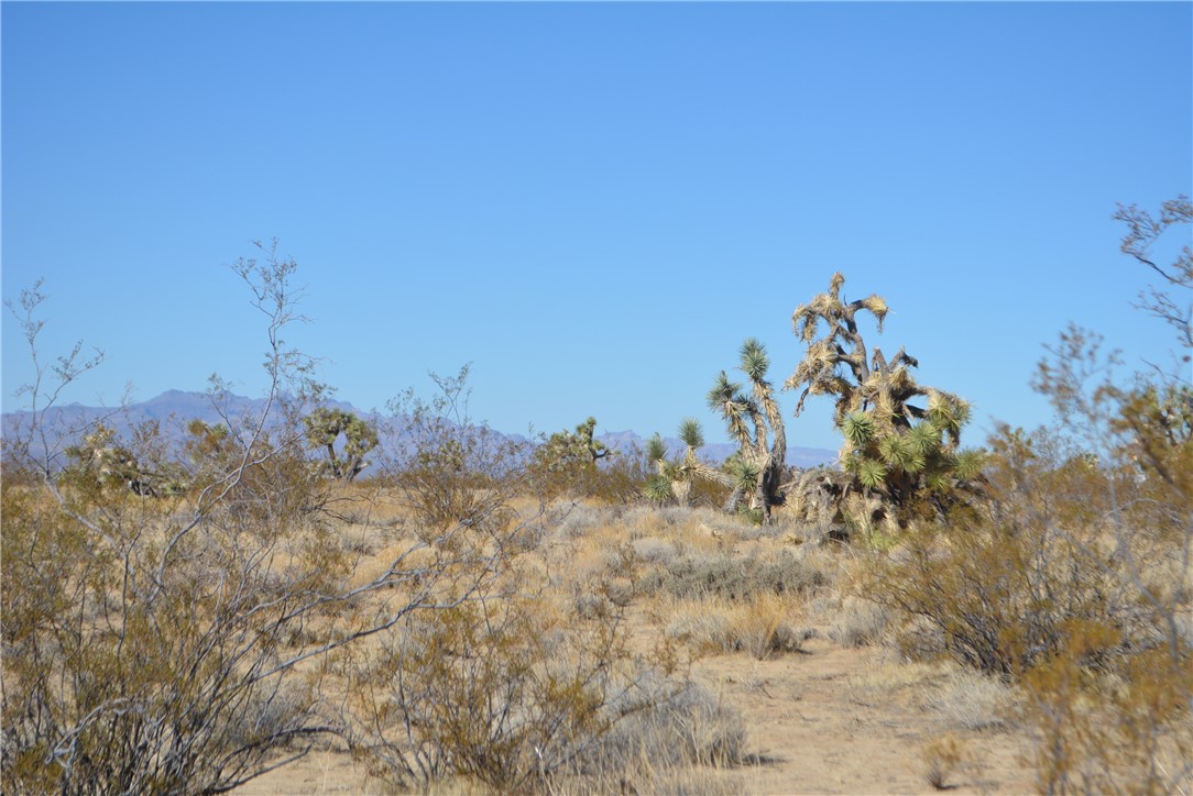 11869 South Dateland Road Yucca, AZ 86438 - Photo 41 of 89 Other