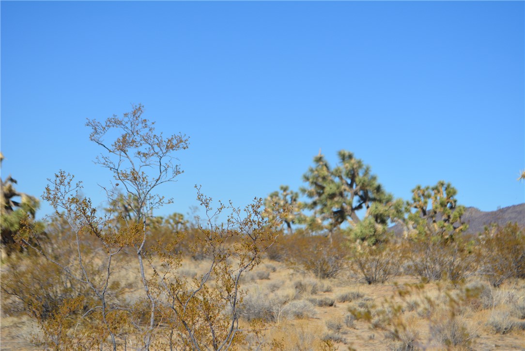11869 South Dateland Road Yucca, AZ 86438 - Photo 42 of 89 Other