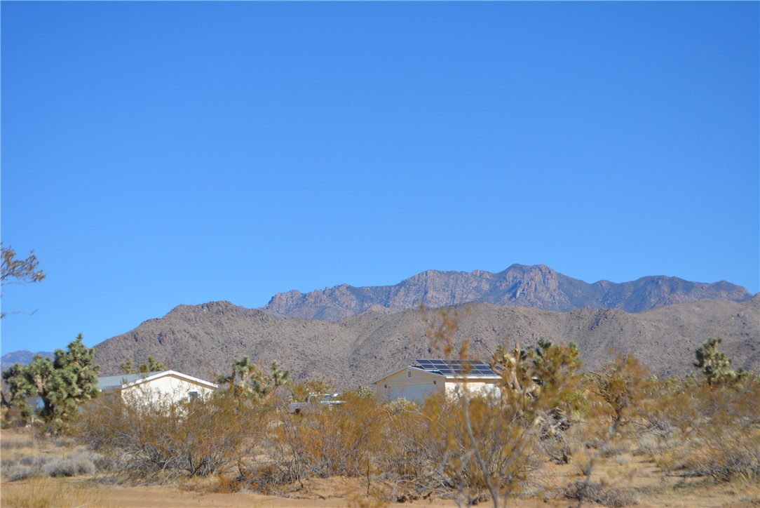 11869 South Dateland Road Yucca, AZ 86438 - Photo 45 of 89 View