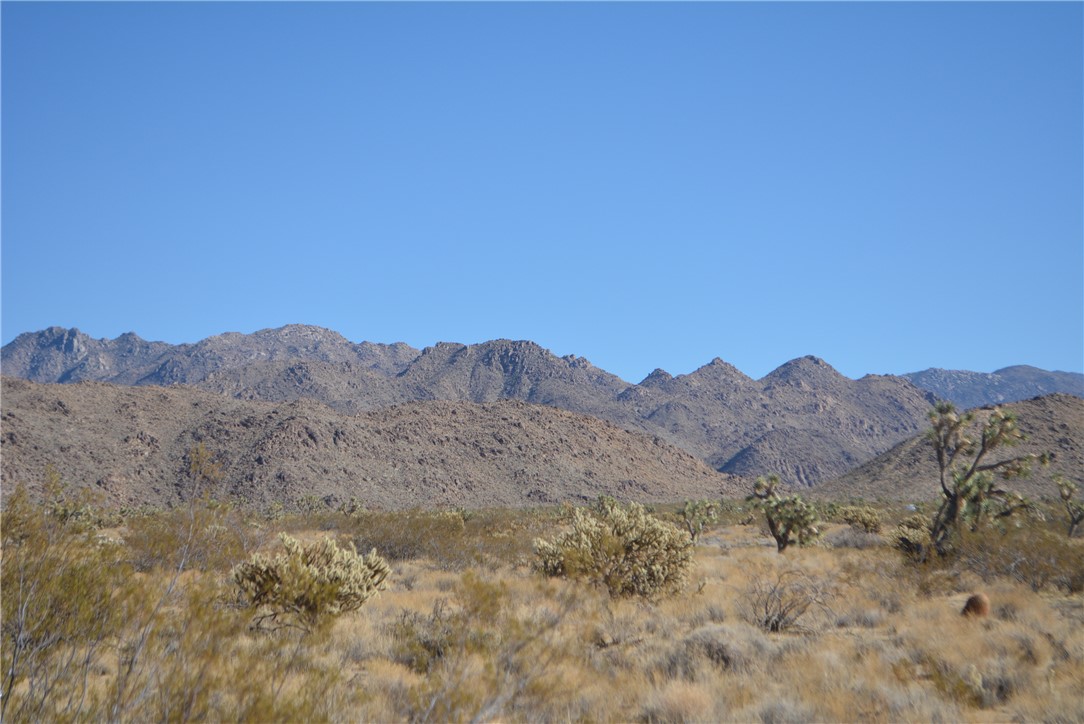 11869 South Dateland Road Yucca, AZ 86438 - Photo 47 of 89 View