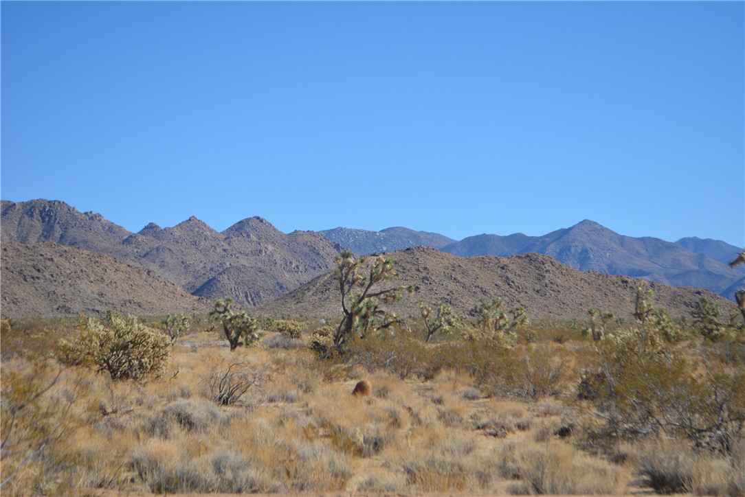 11869 South Dateland Road Yucca, AZ 86438 - Photo 48 of 89 View