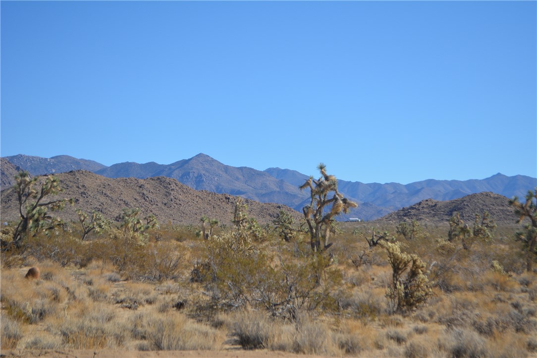 11869 South Dateland Road Yucca, AZ 86438 - Photo 49 of 89 View