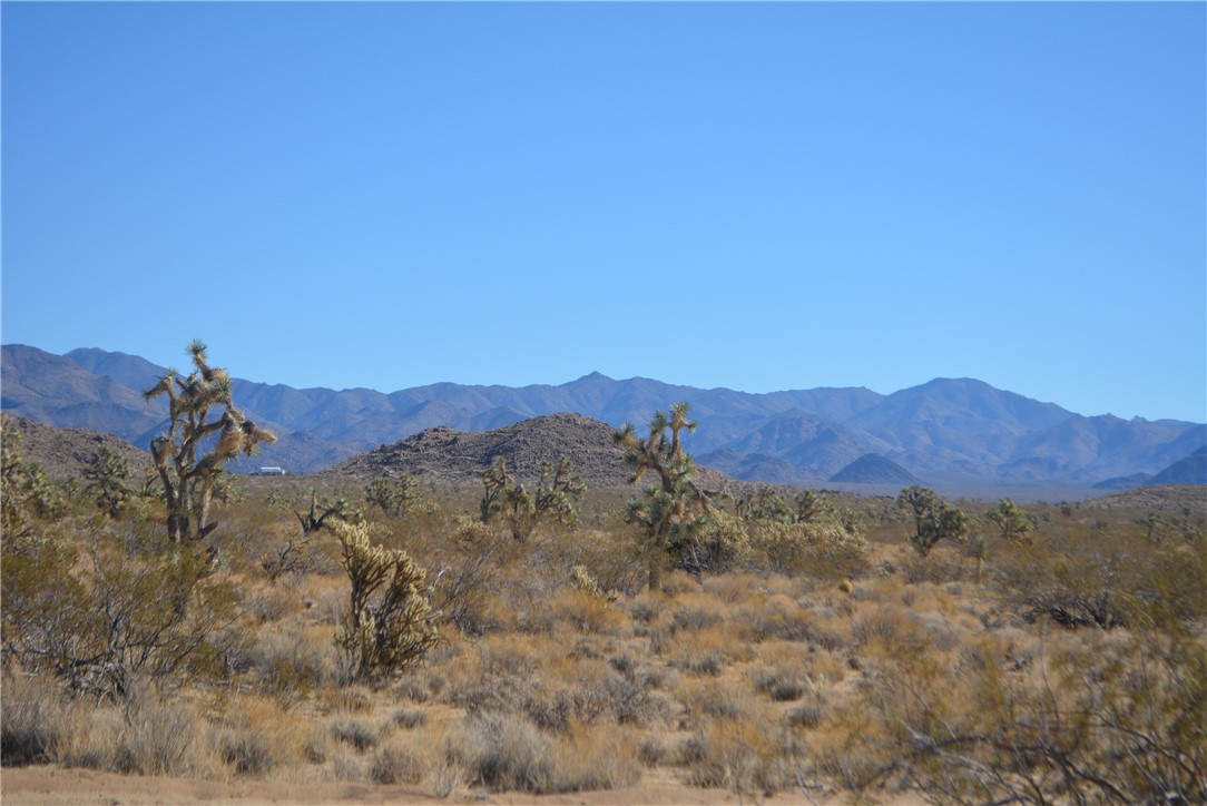 11869 South Dateland Road Yucca, AZ 86438 - Photo 50 of 89 View