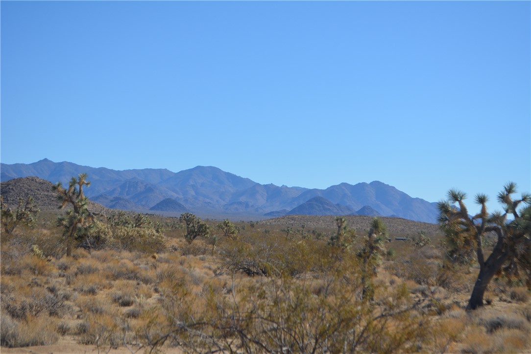11869 South Dateland Road Yucca, AZ 86438 - Photo 51 of 89 View