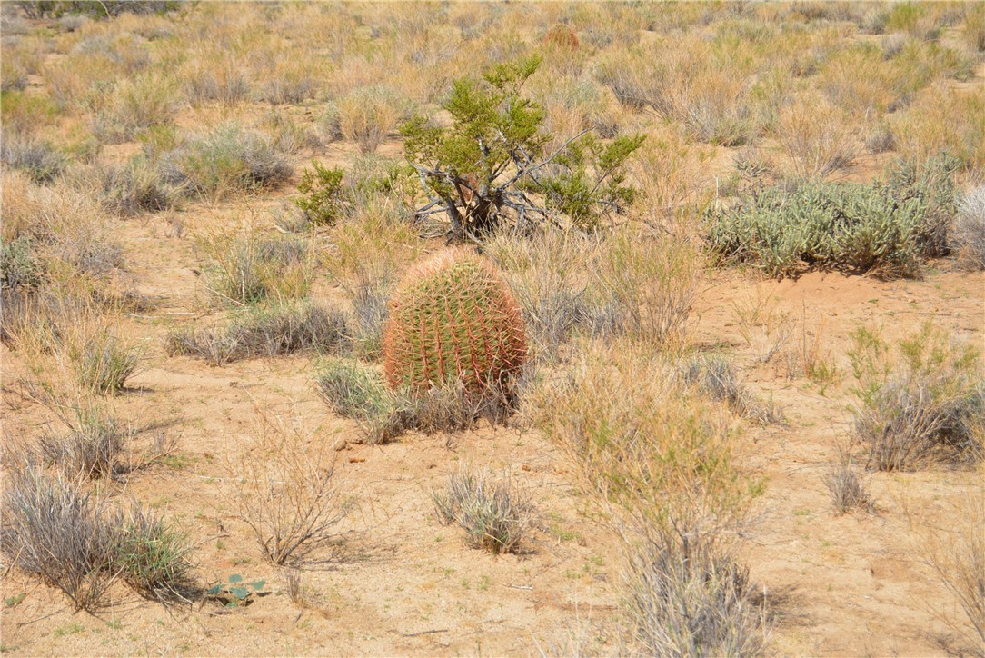 11869 South Dateland Road Yucca, AZ 86438 - Photo 64 of 89 Other