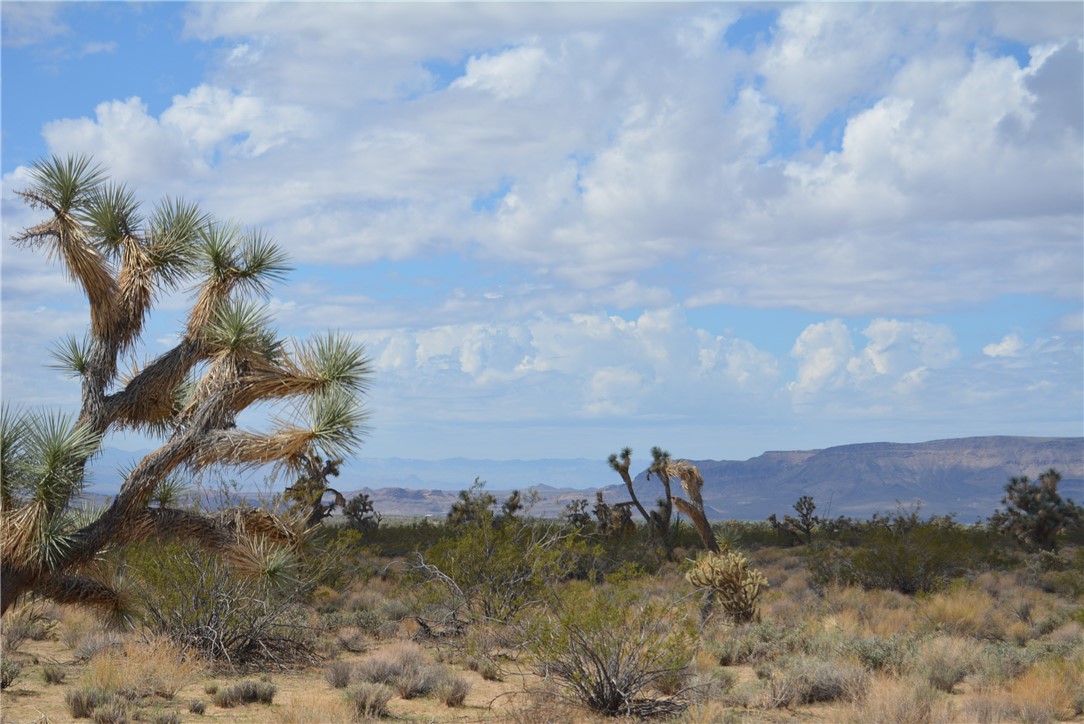 11869 South Dateland Road Yucca, AZ 86438 - Photo 65 of 89 View