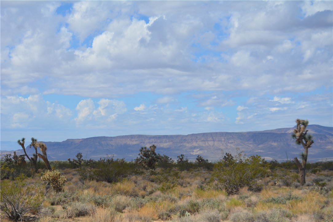 11869 South Dateland Road Yucca, AZ 86438 - Photo 66 of 89 View