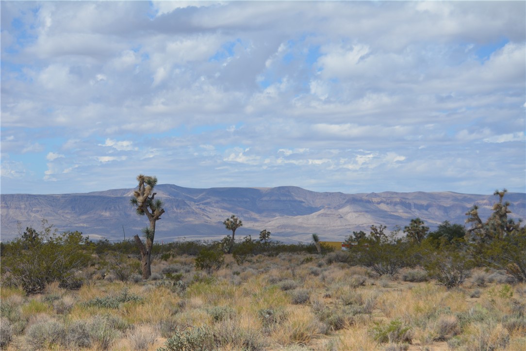 11869 South Dateland Road Yucca, AZ 86438 - Photo 67 of 89 View